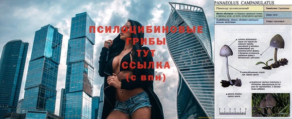 дмт Армянск