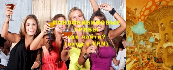 дмт Армянск